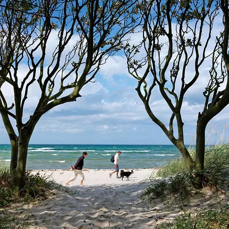 Sandrose アパート